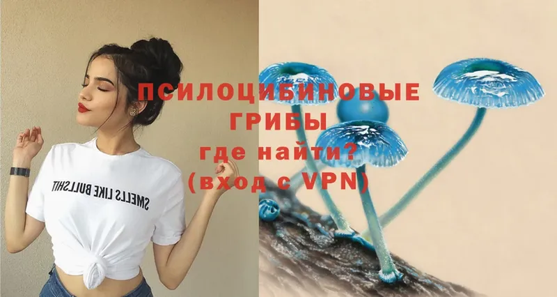 это Telegram  Киреевск  Галлюциногенные грибы Psilocybe  где продают наркотики 